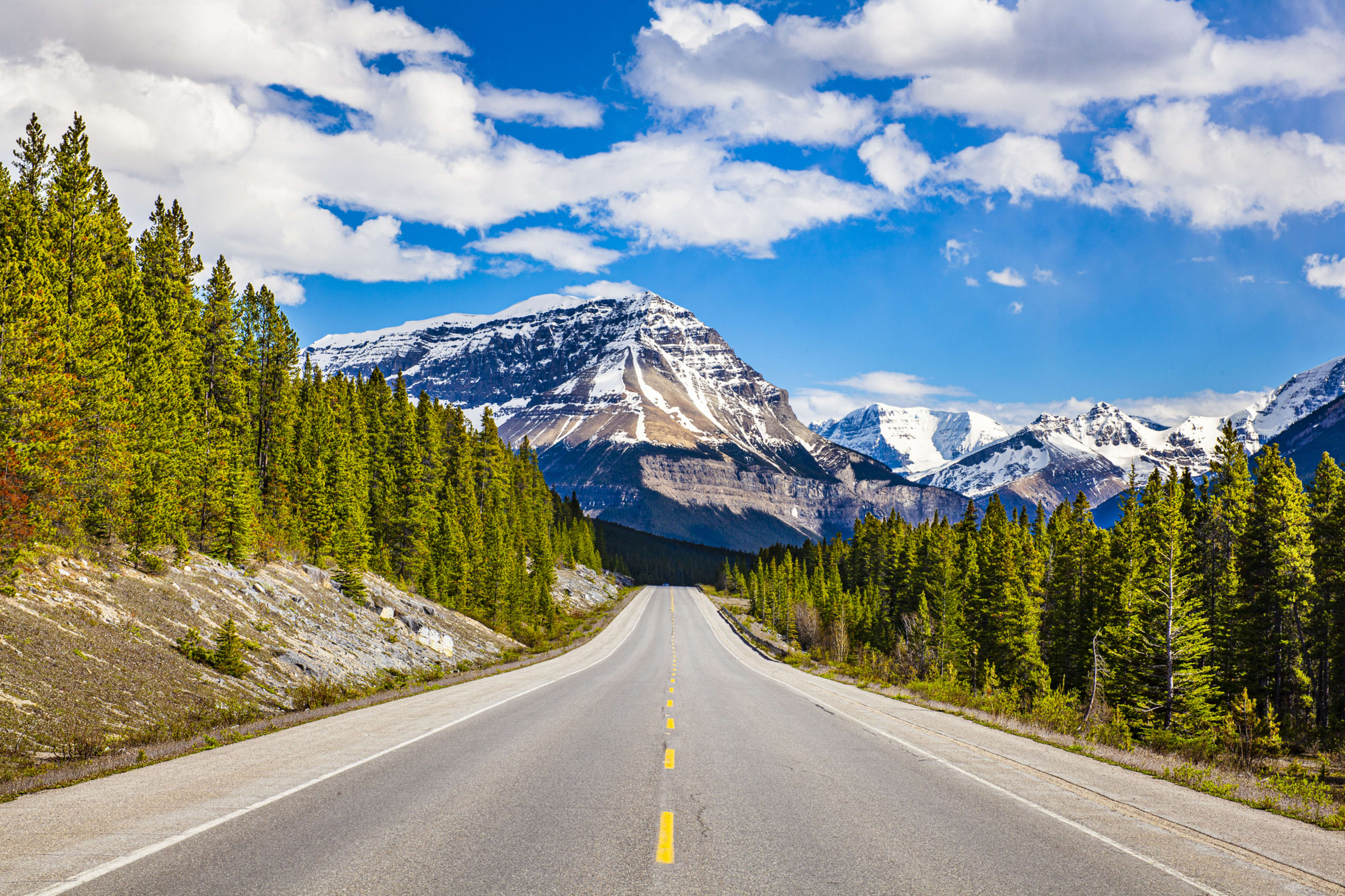 Scenic mountain highway with lush pine trees under a blue sky with clouds.