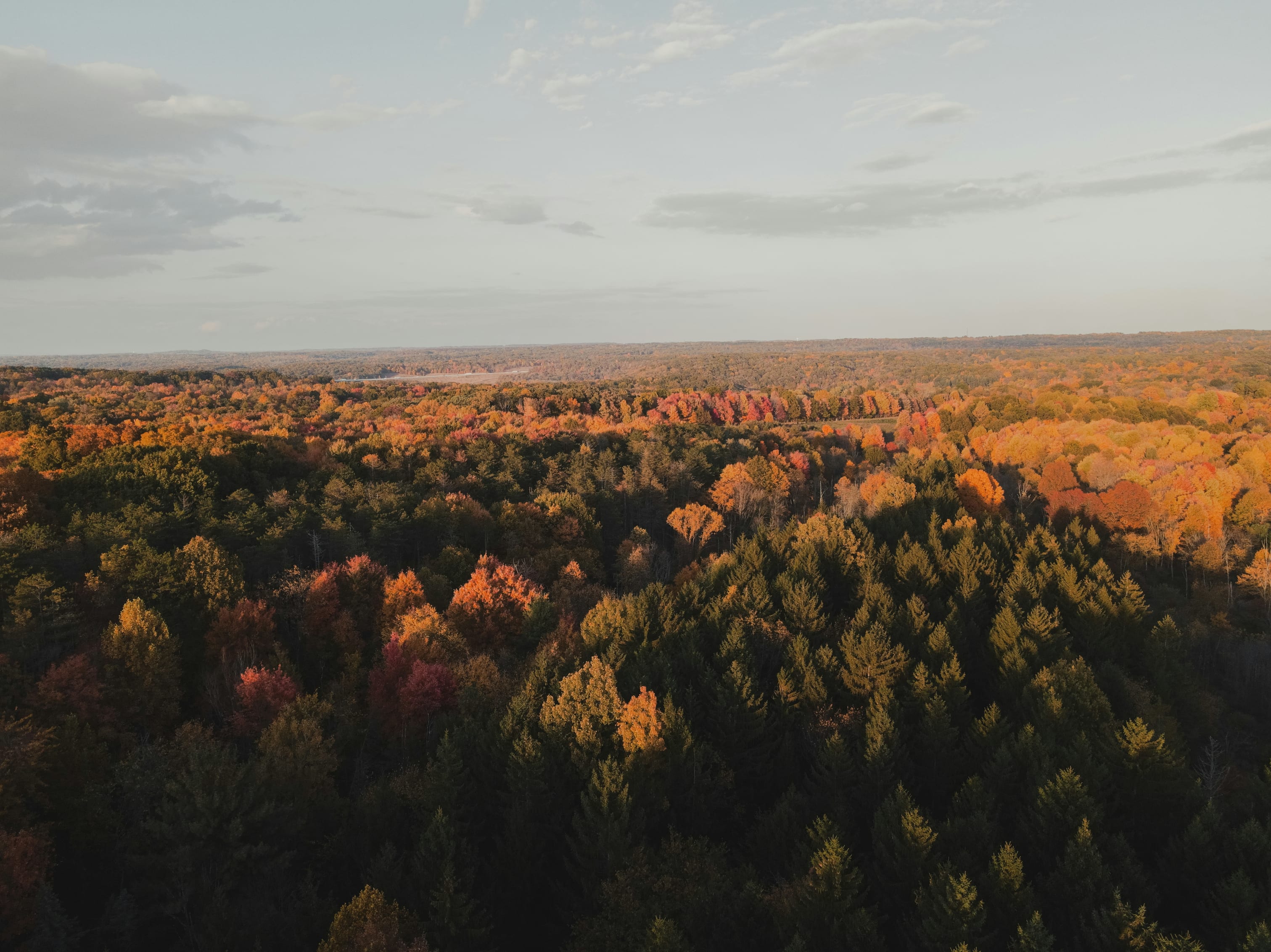Aerial view of Cuyahoga National Park in autumn, showcasing vibrant foliage with warm sunset tones.