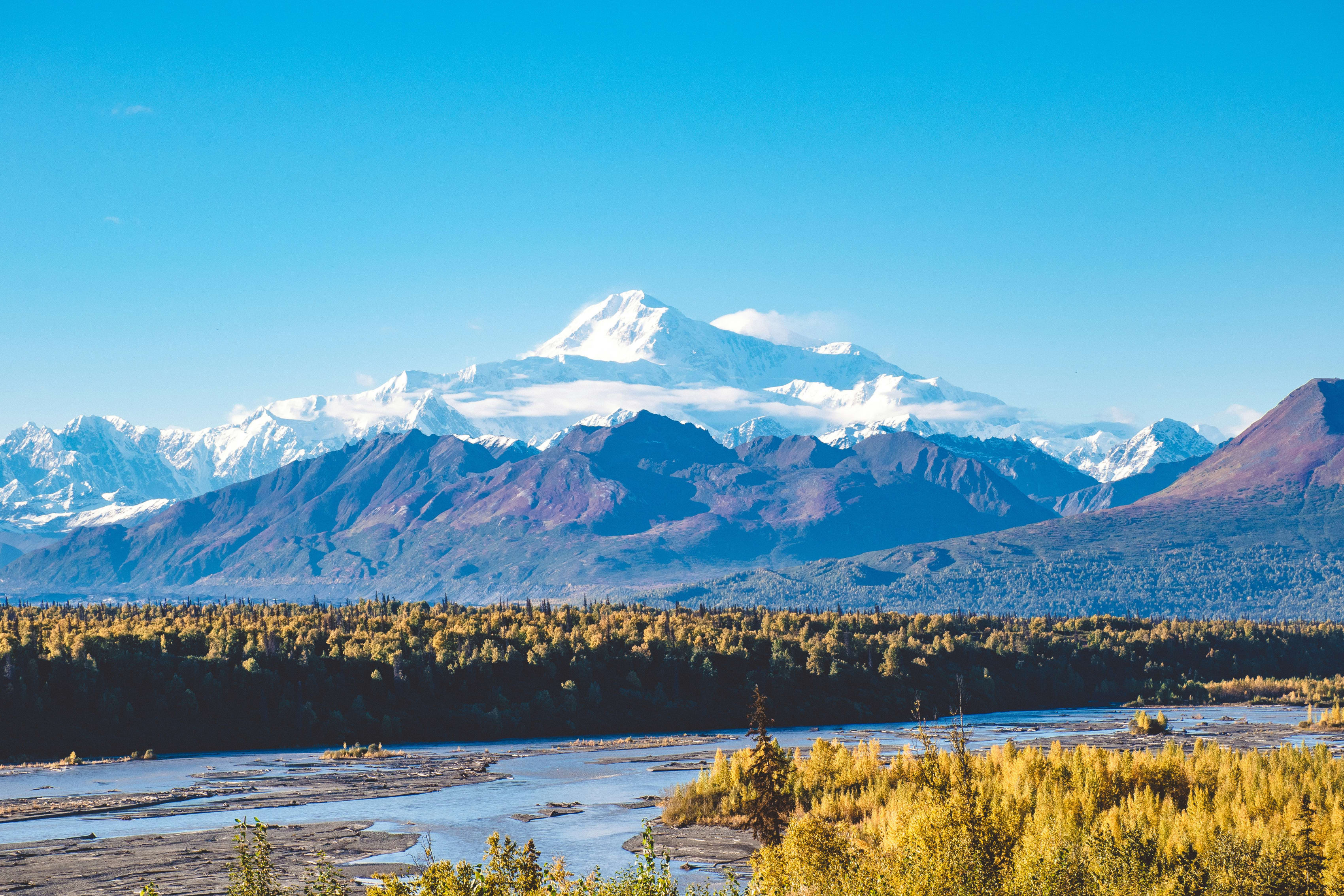Spectacular view of Denali peak in Denali National Park with a clear blue sky, lush greenery, and a meandering river.