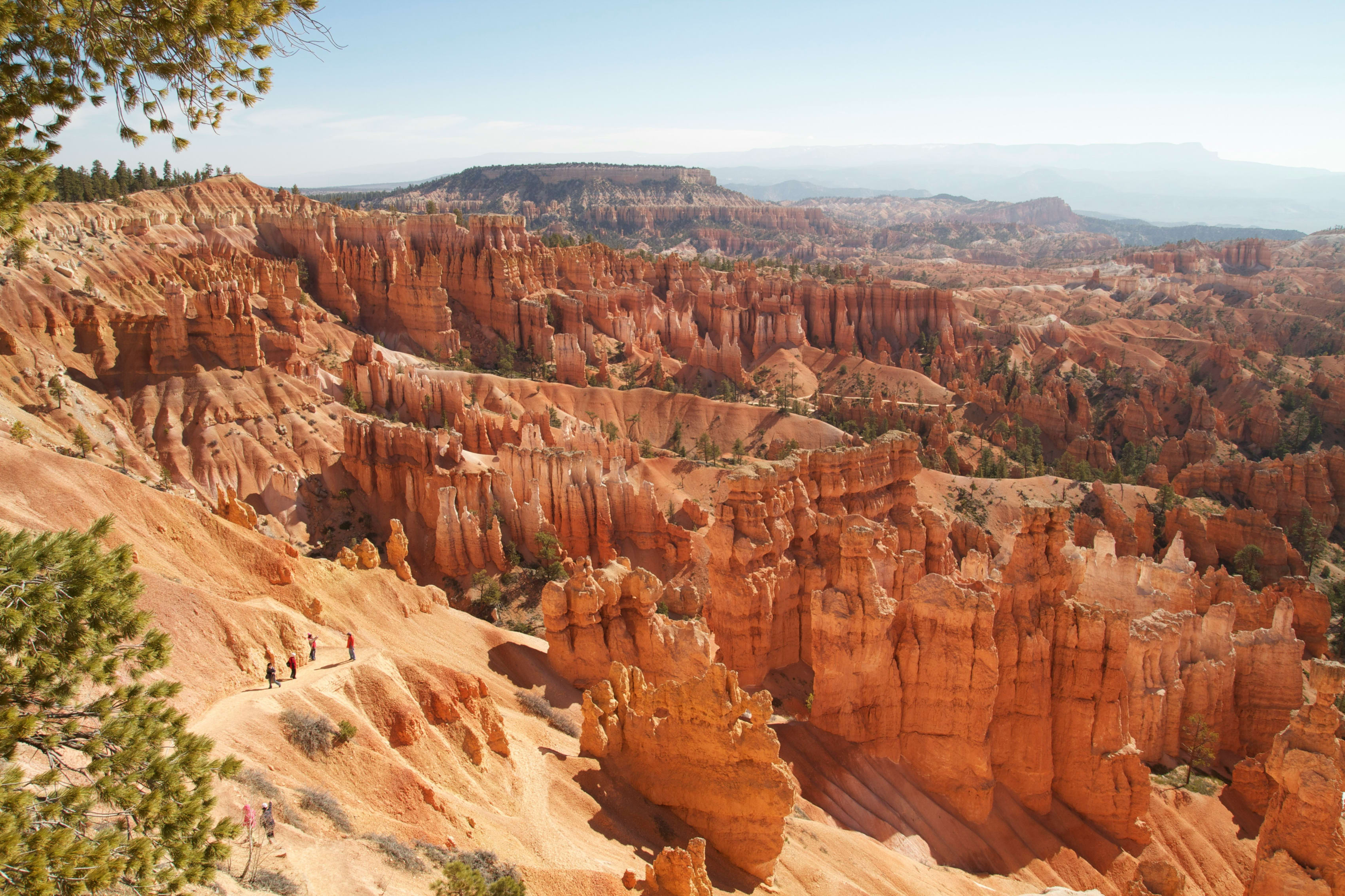 Breathtaking view of Grand Canyon National Park with vibrant orange rock formations