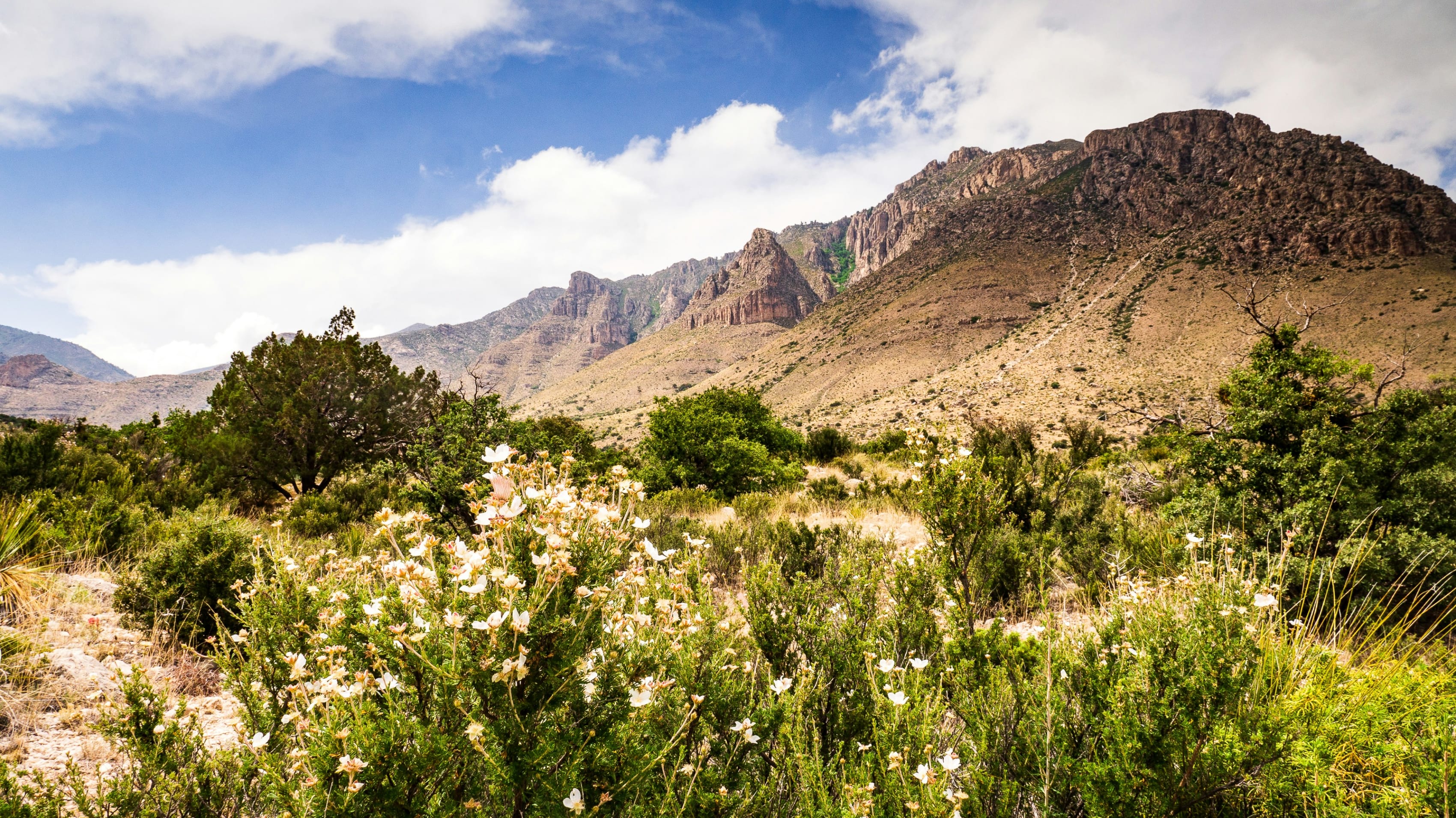 Scenic view of Guadalupe Mountains National Park with lush greenery and rugged peaks under a cloudy sky.