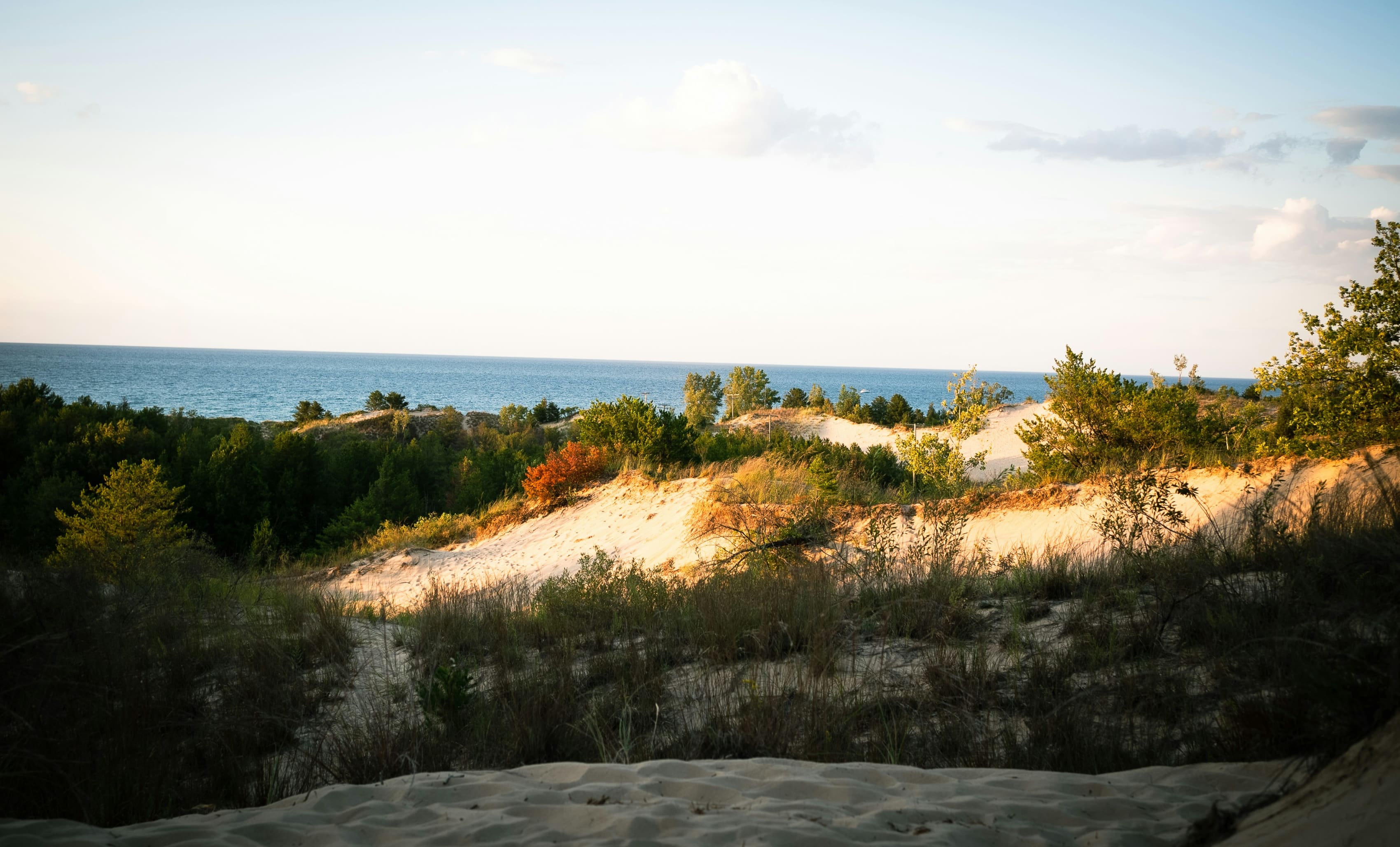Indiana Dunes National Park with sandy dunes and vegetation overlooking Lake Michigan at sunset