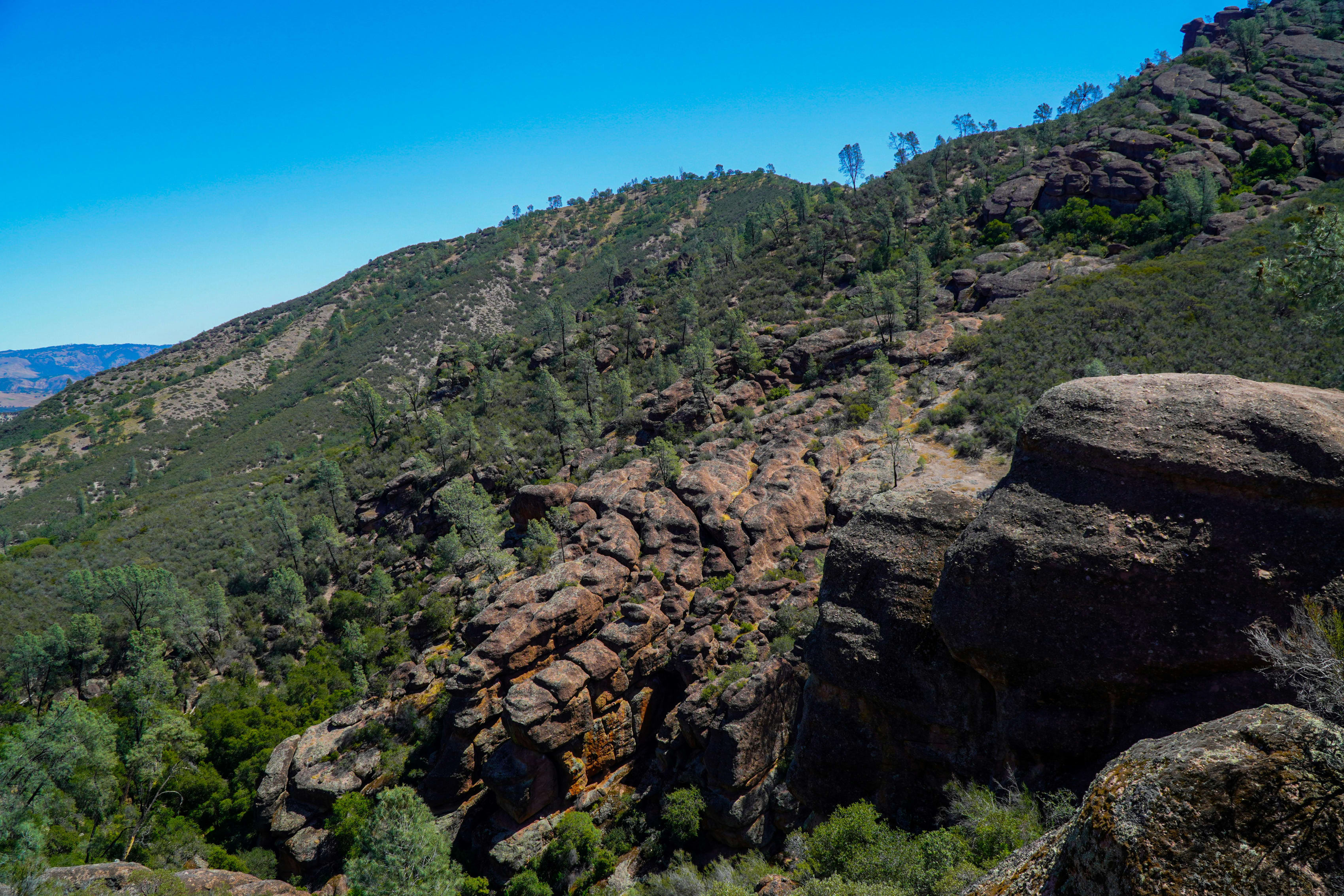 Scenic view of Pinnacles National Park showcasing rugged rock formations and lush greenery under a clear blue sky.
