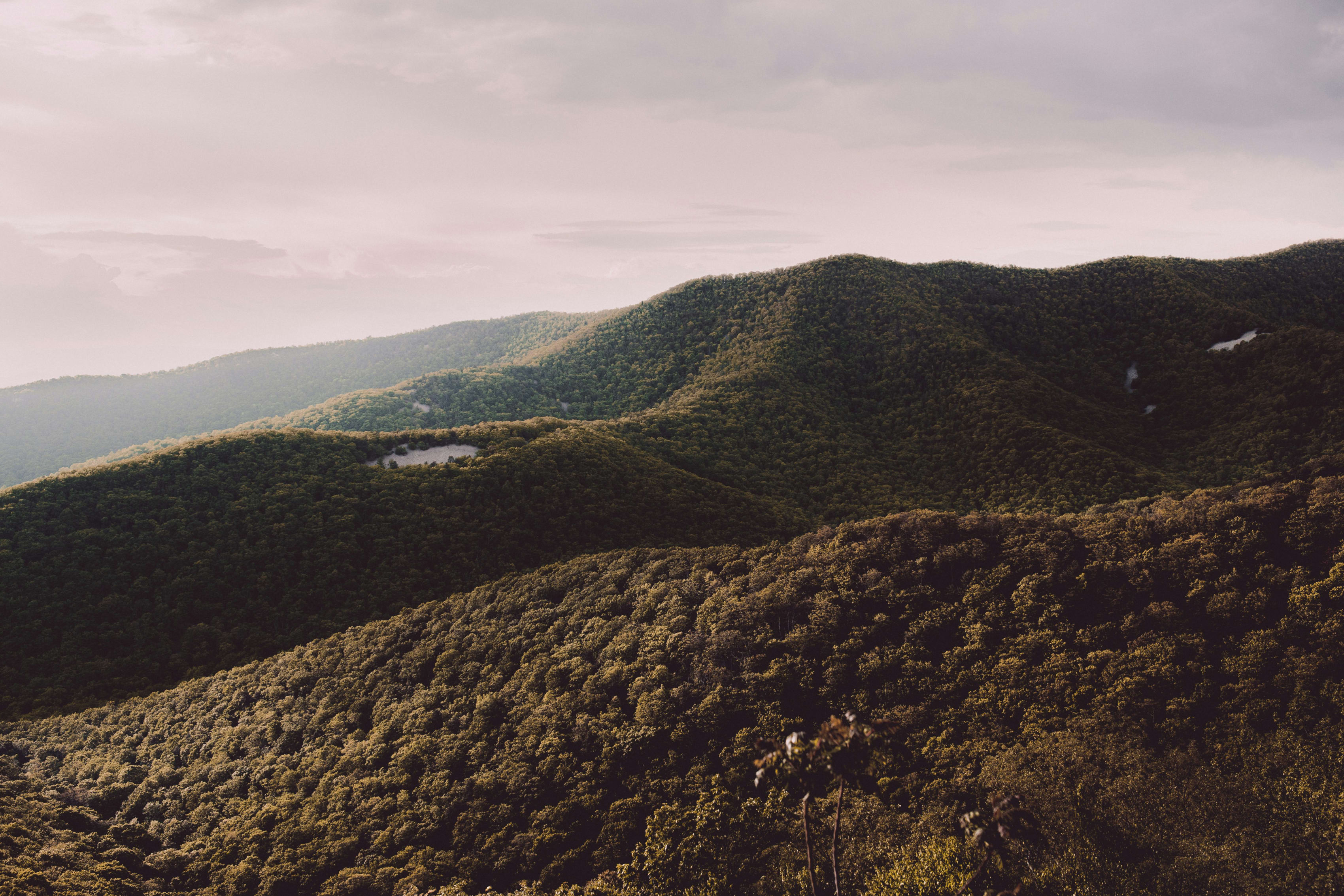 View of rolling hills in Shenandoah National Park at dusk with lush greenery and a cloudy sky.