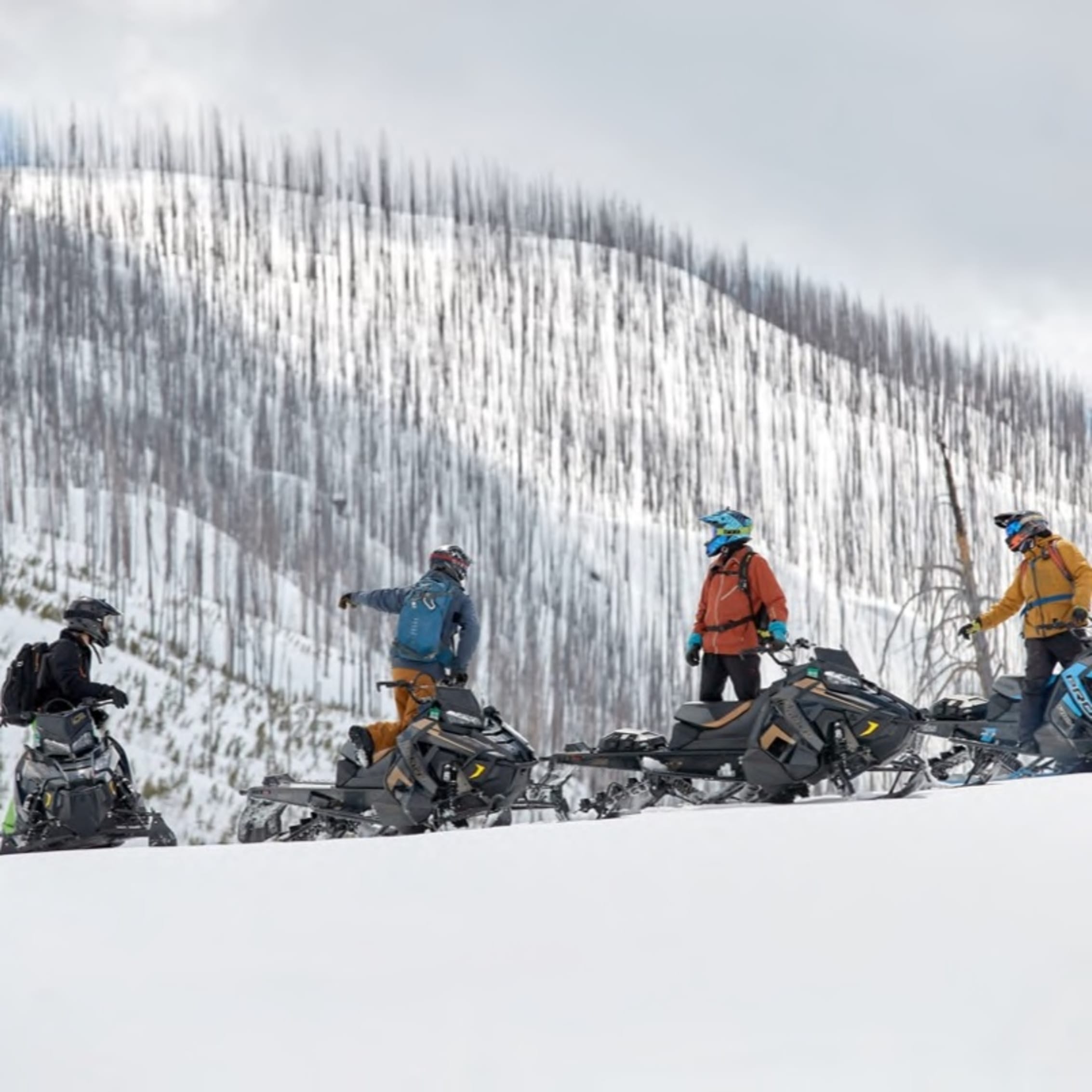 A group of people on snowmobiles in a snowy mountain landscape, wearing winter gear and helmets, with a backdrop of snow-covered trees and slopes.