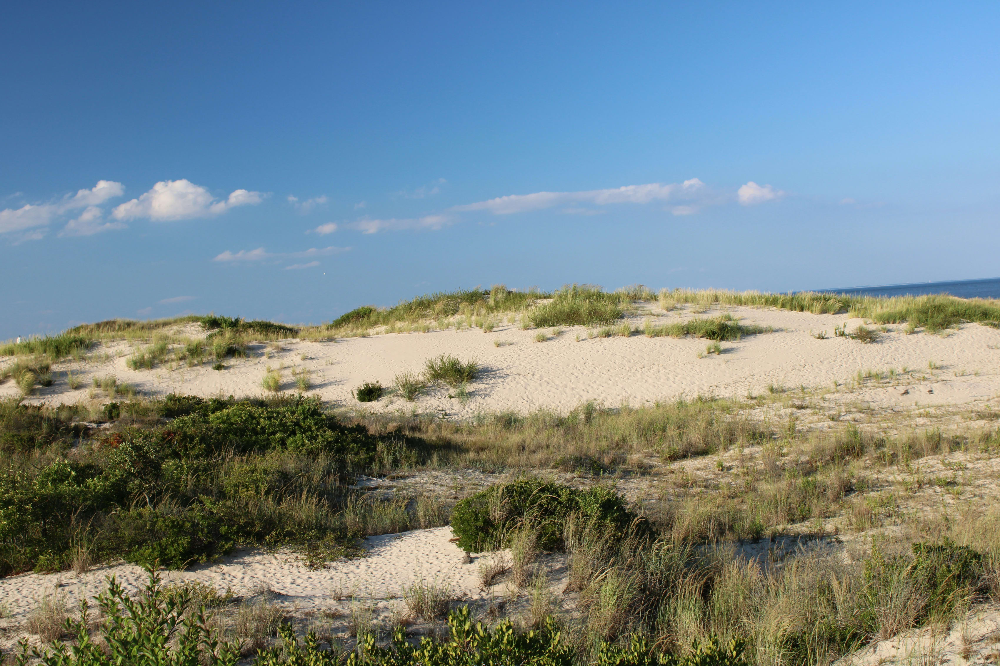 Scenic view of Delaware dunes with grassy patches under a blue sky with wispy clouds.