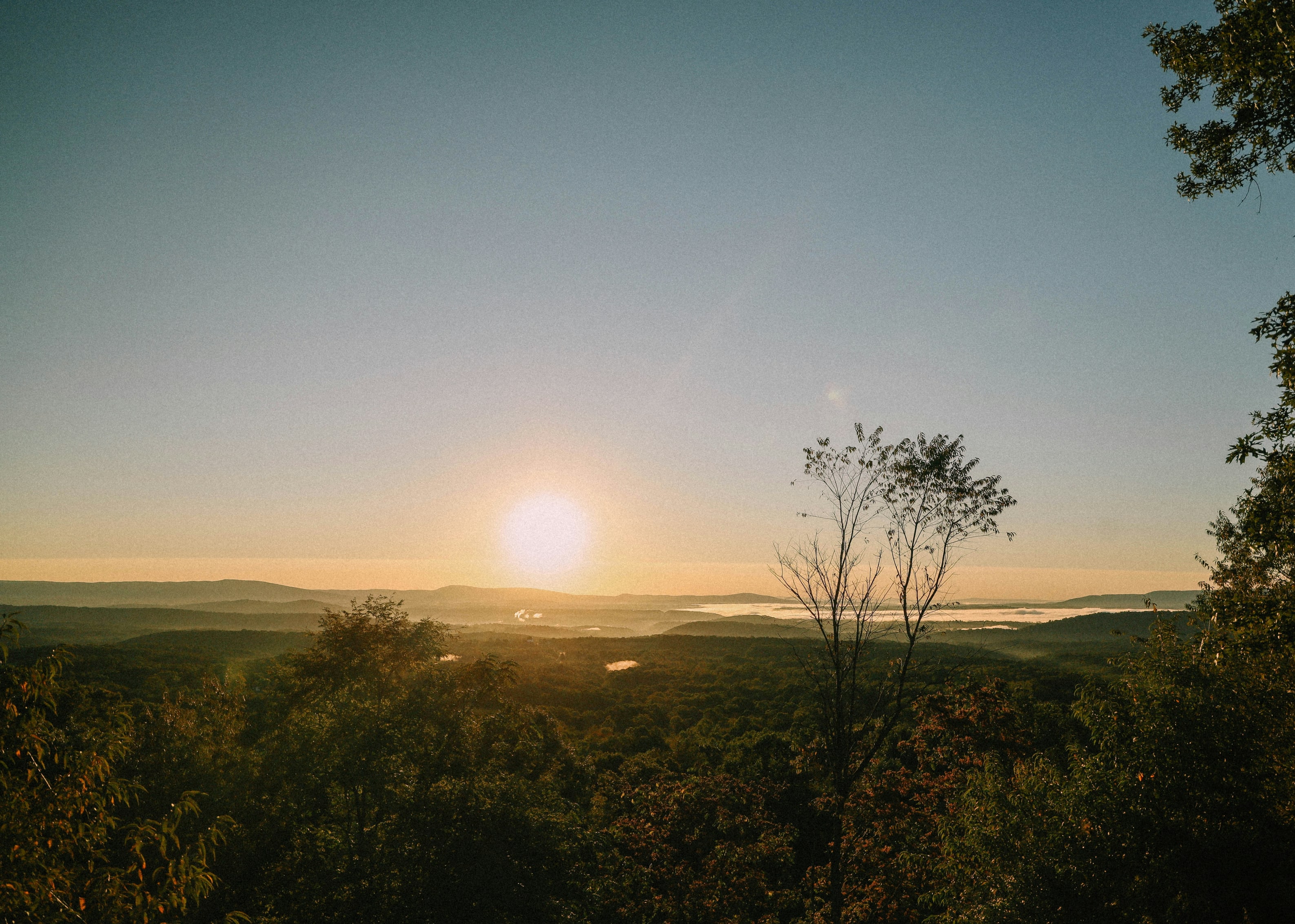 Sunset view over Maryland's scenic landscape with rolling hills and a sparse tree in the foreground.