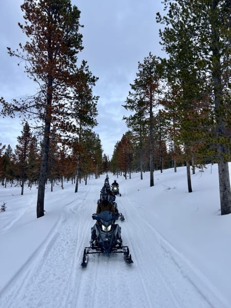 Polaris Snowmobile Ride at Uinta Adventures in Kamas, Utah