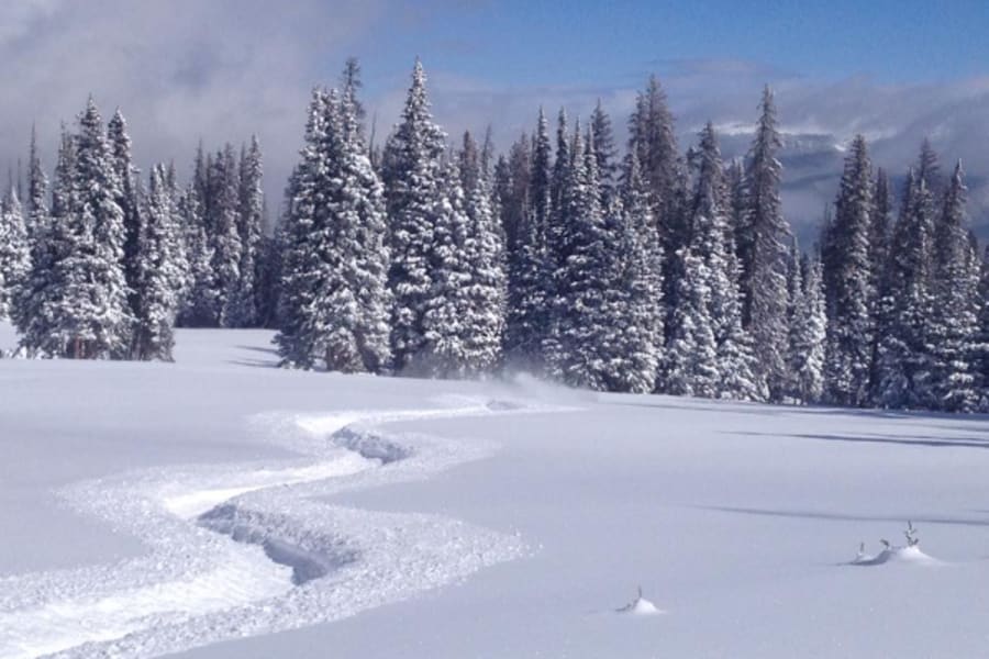 Snowmobile trail in Colorado
