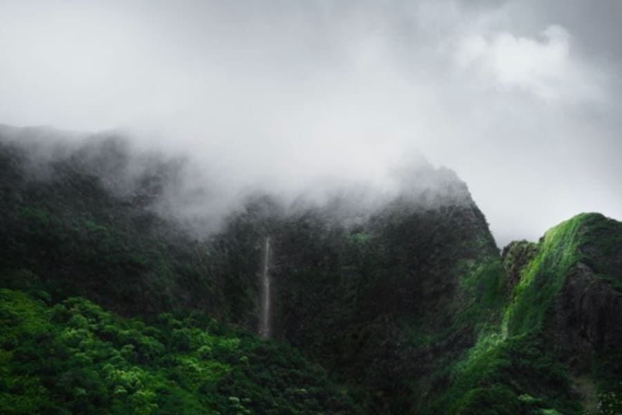 Verdant Maui mountainside