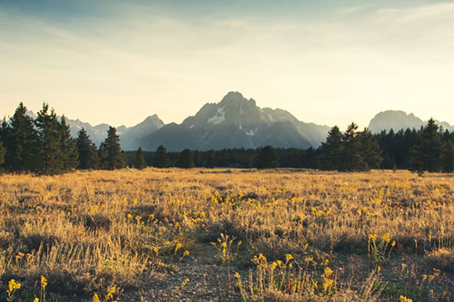 Wyoming mountain