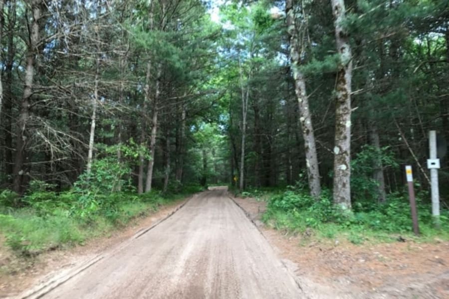 Sandy trail in Michigan