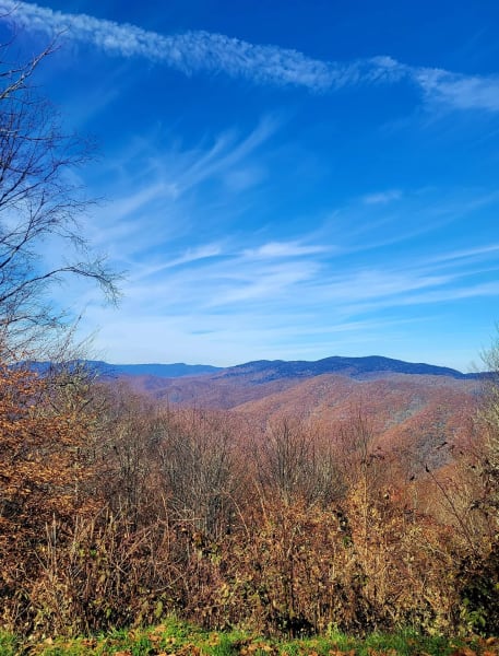 North Carolina fall foliage vista