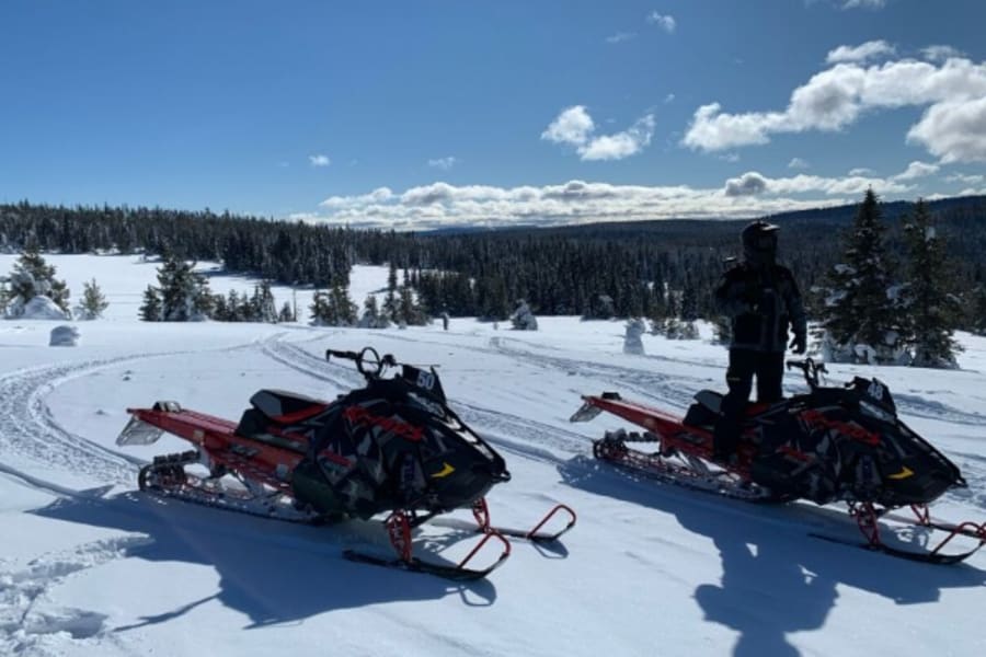 Red Polaris snowmobiles in Idaho