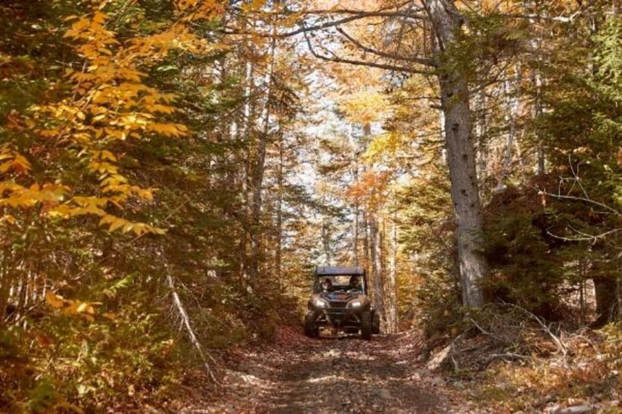 Polaris ORV in Illinois woods