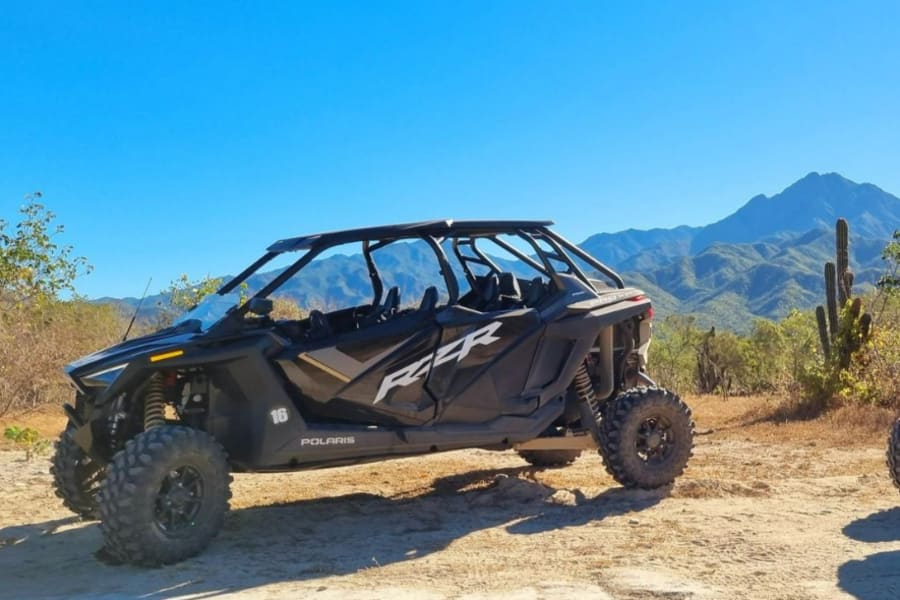 Desert trail in Baja, Mexico