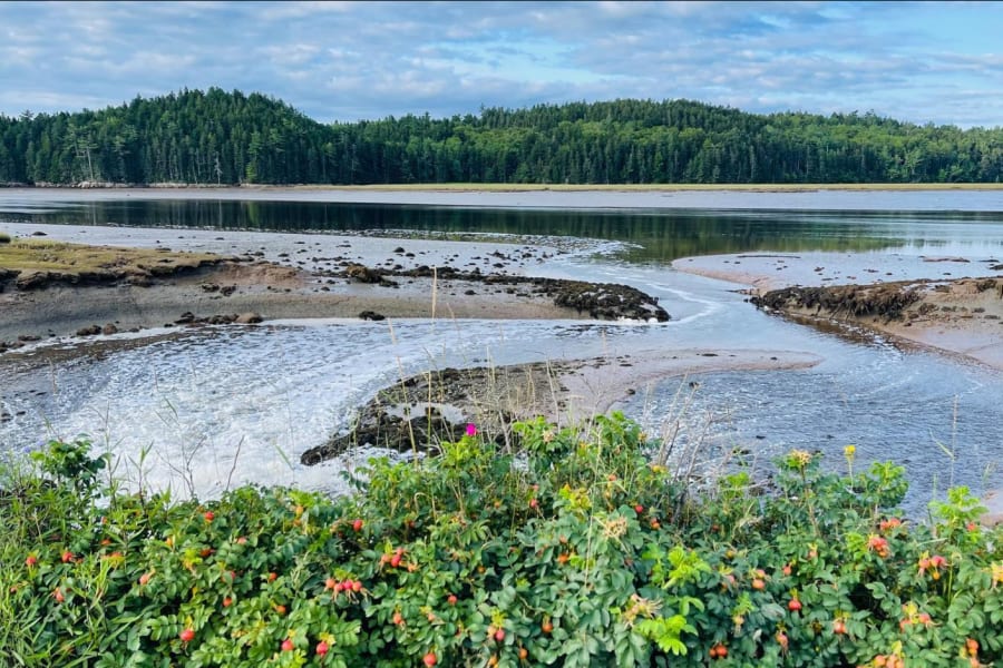 Beautiful river scene