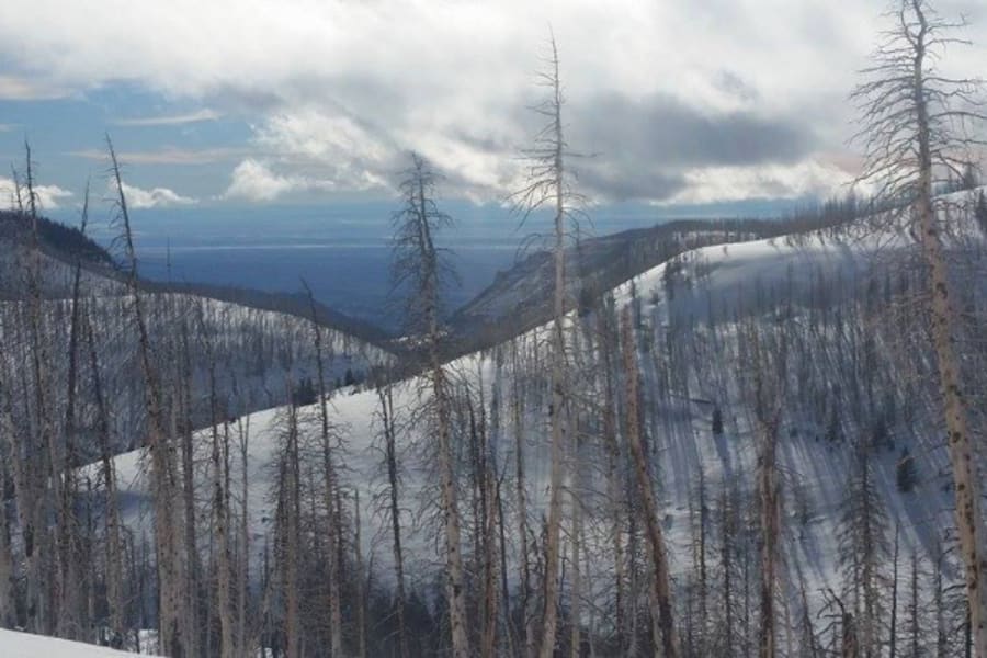Photo-worthy Wyoming vista