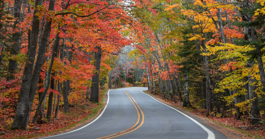 Fall Road