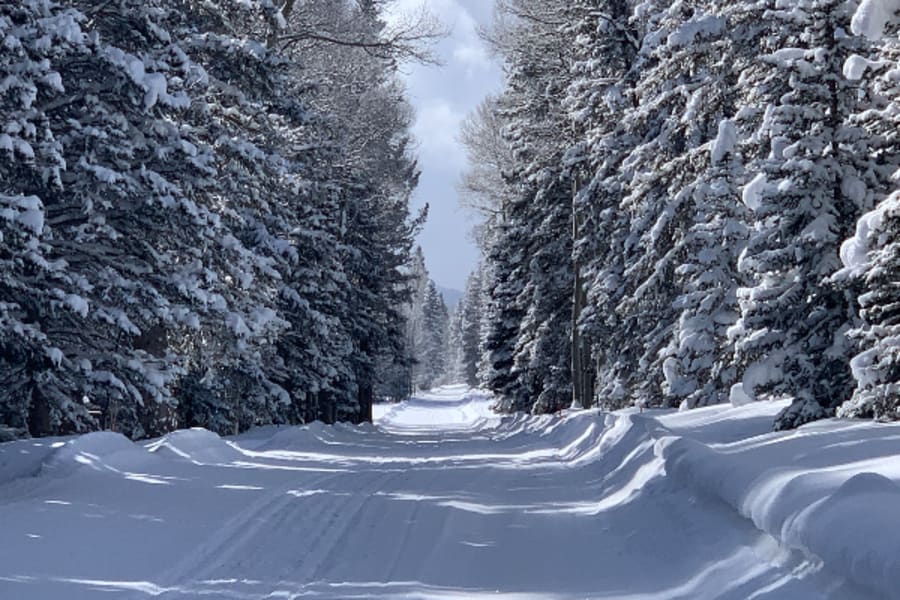 Winter snowmobile trail