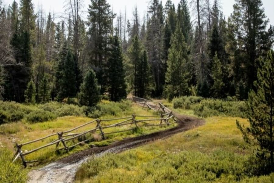 Winding dirt trail near Albany Lodge