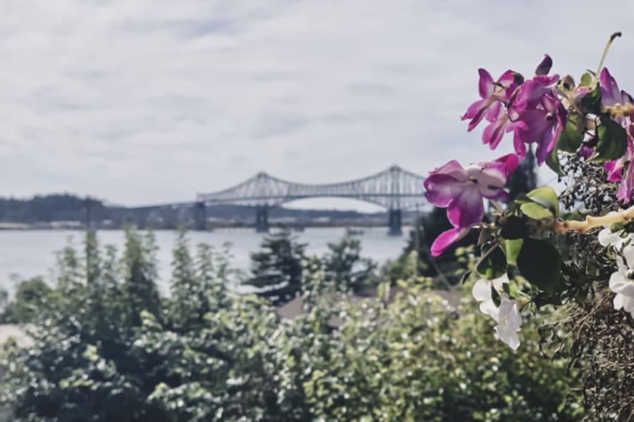 Bridge scene in Oregon