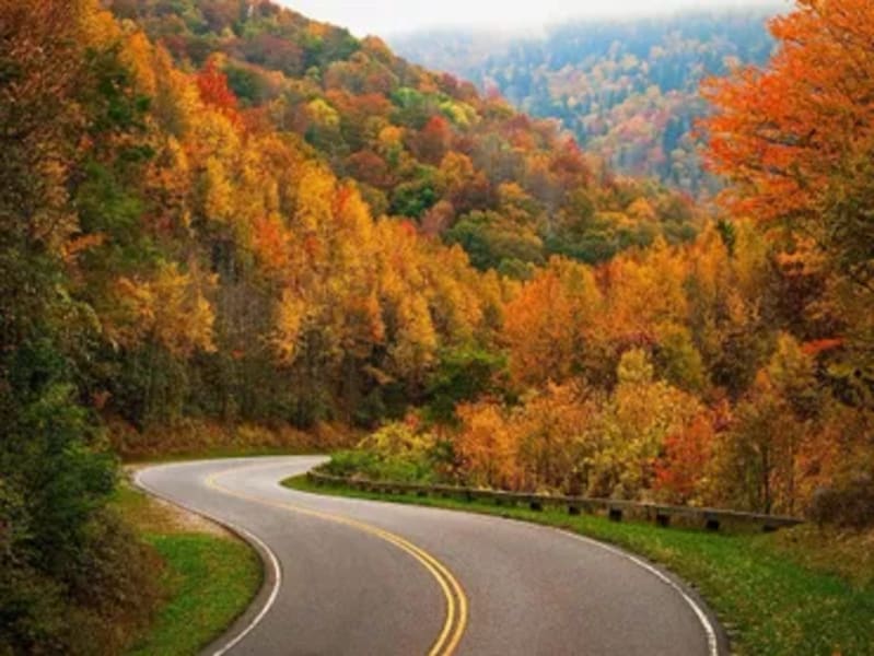Scenic byway in fall