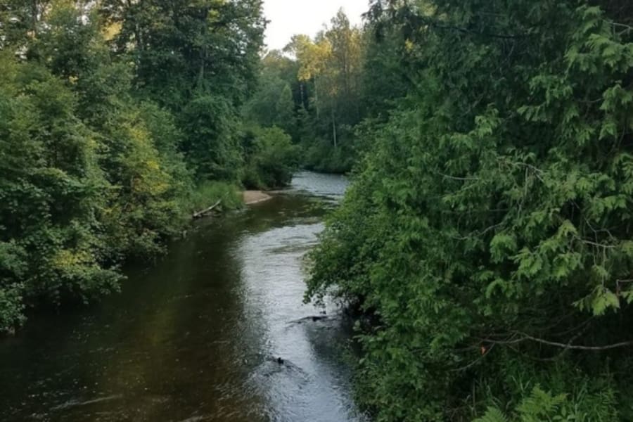 Creek in Michigan