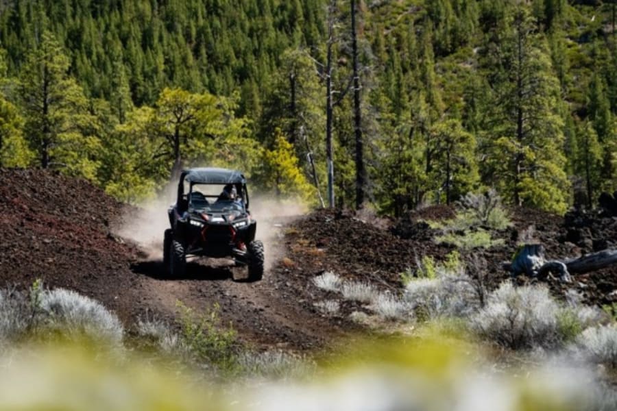 Polaris RZR in Oregon