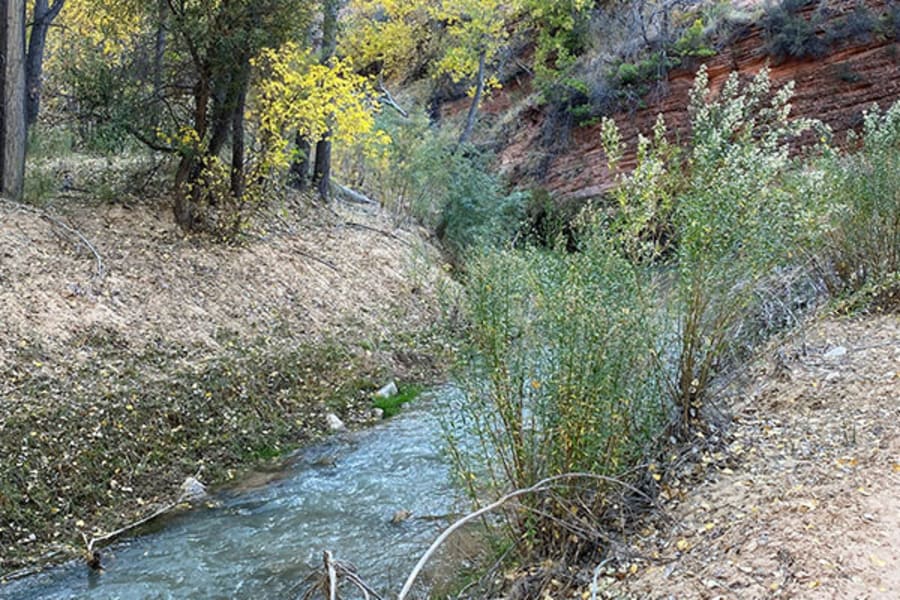 Babbling brooks in Utah