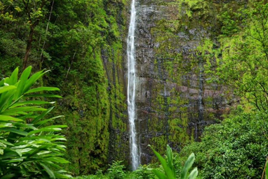 Waterfall in Maui