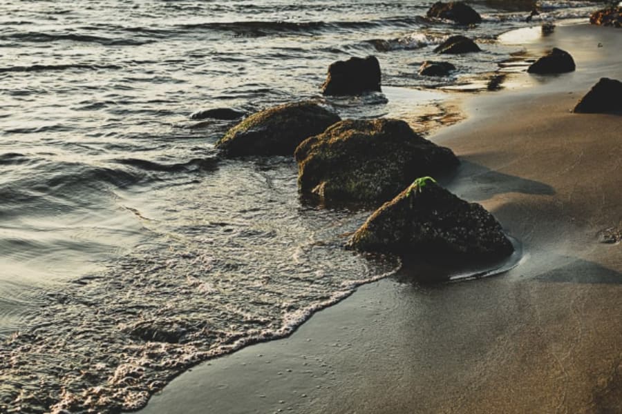 Oregon beach shot