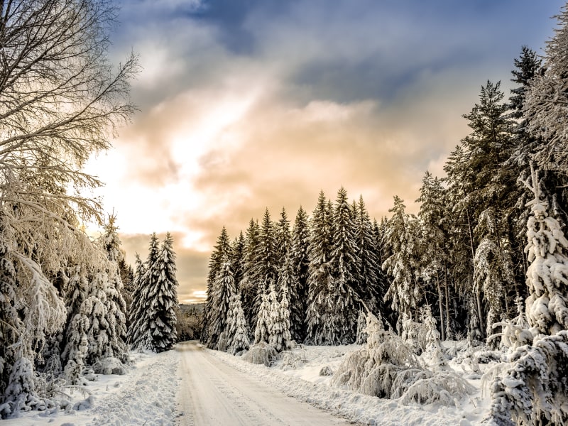 Maine winter scene