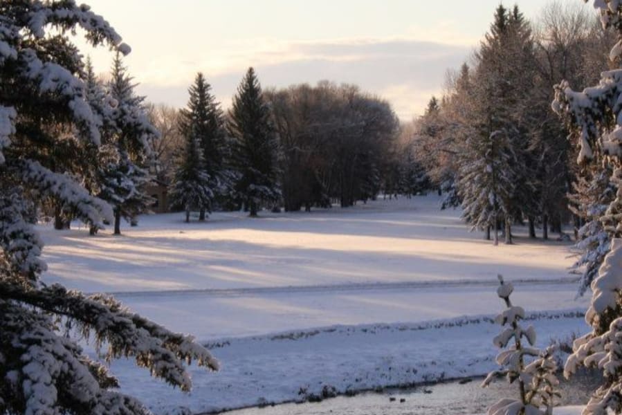 Winter scene in Wyoming