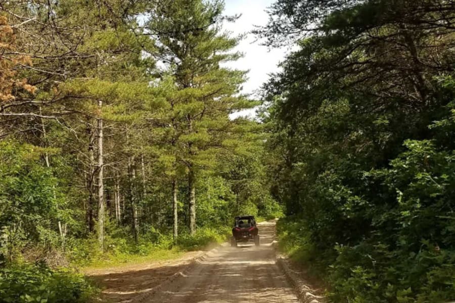 Dirt trail at Bear Bogging Adventure Tours