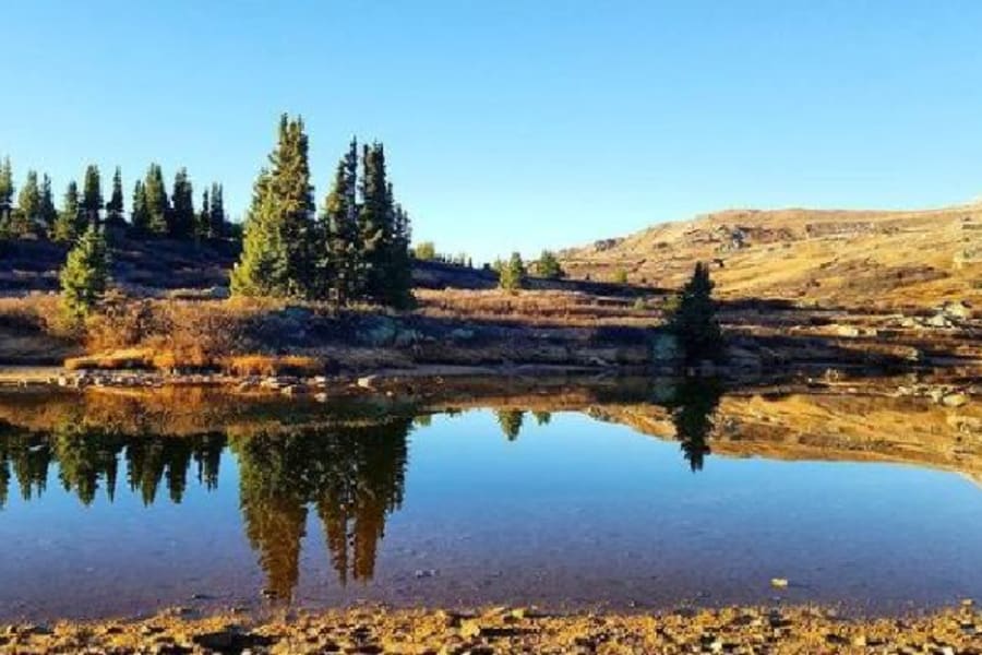 Placid pond in Colorado