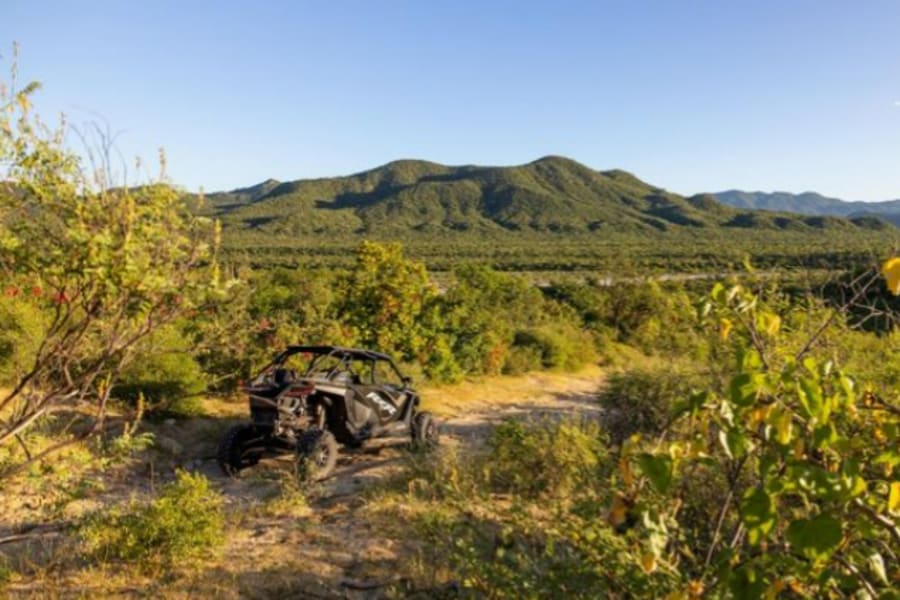 A Polaris RZR in lush desert terrain
