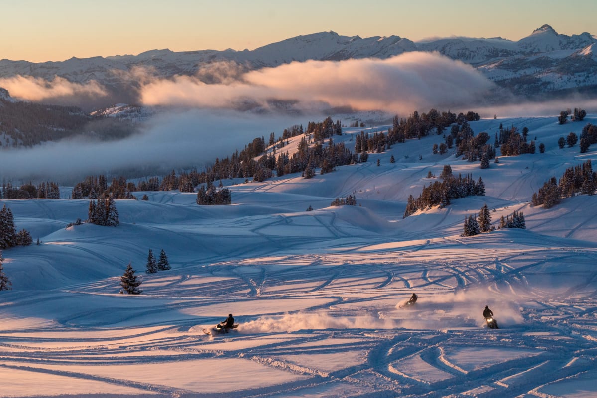 Sweeping snow covered valley with pine trees