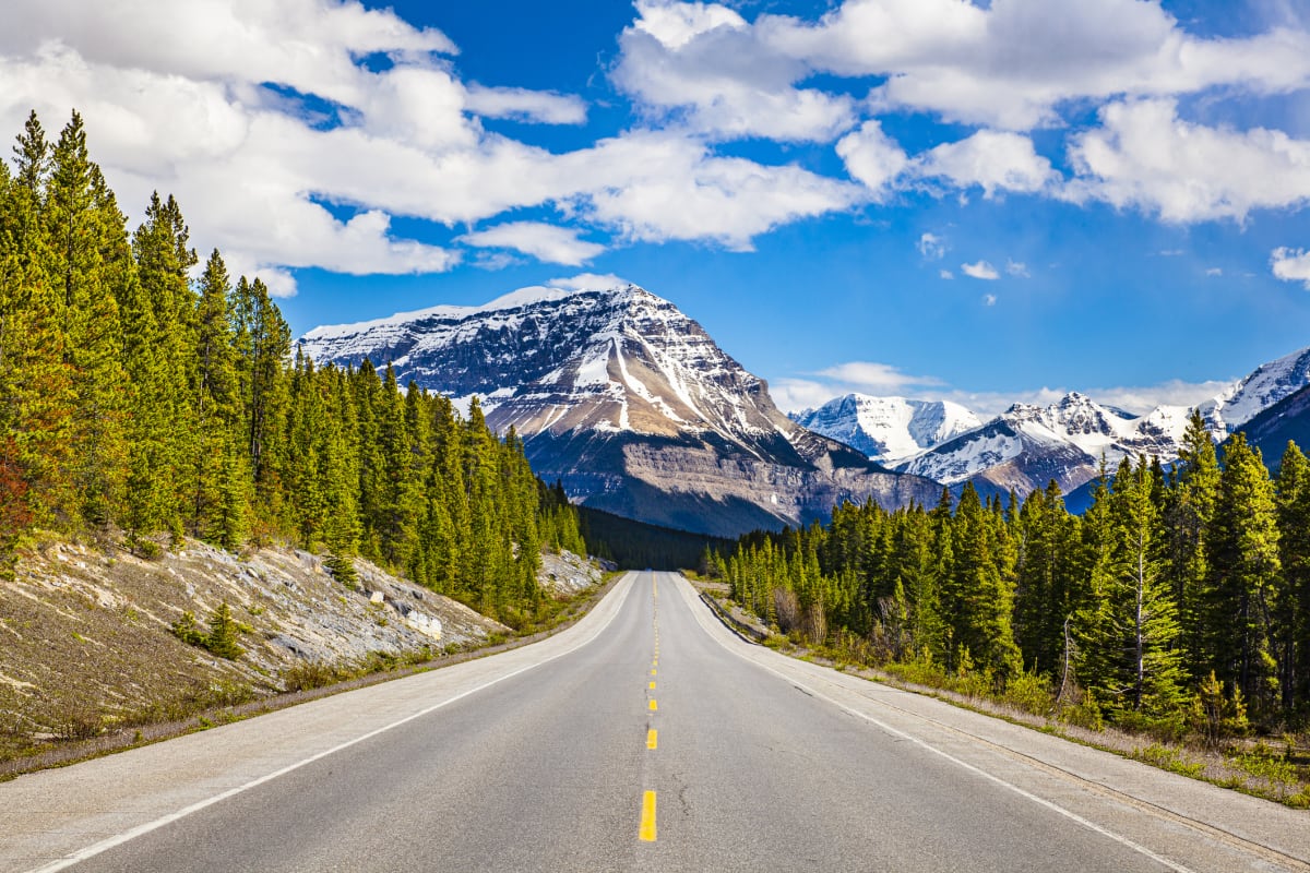 Scenic mountain road with towering snow-capped peaks and lush green pines under a bright blue sky with fluffy clouds.