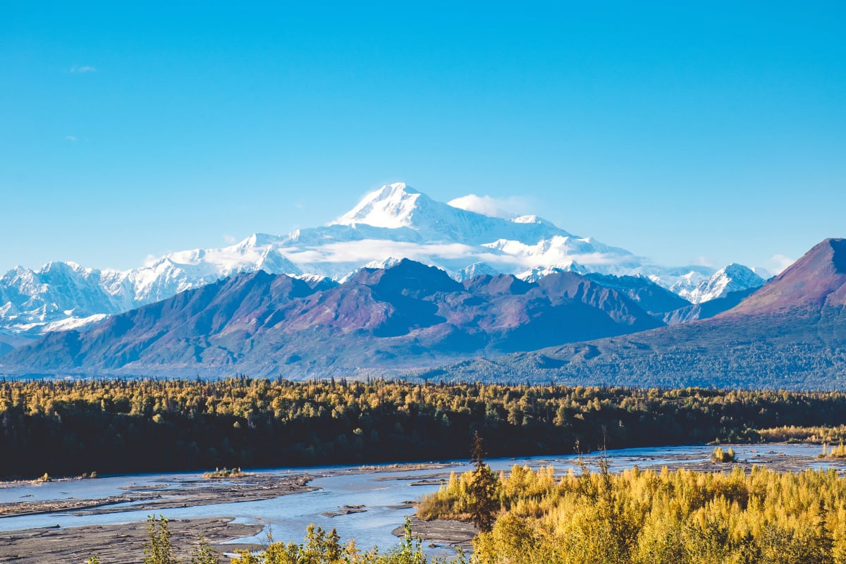 Spectacular view of Denali peak in Denali National Park with a clear blue sky, lush greenery, and a meandering river.