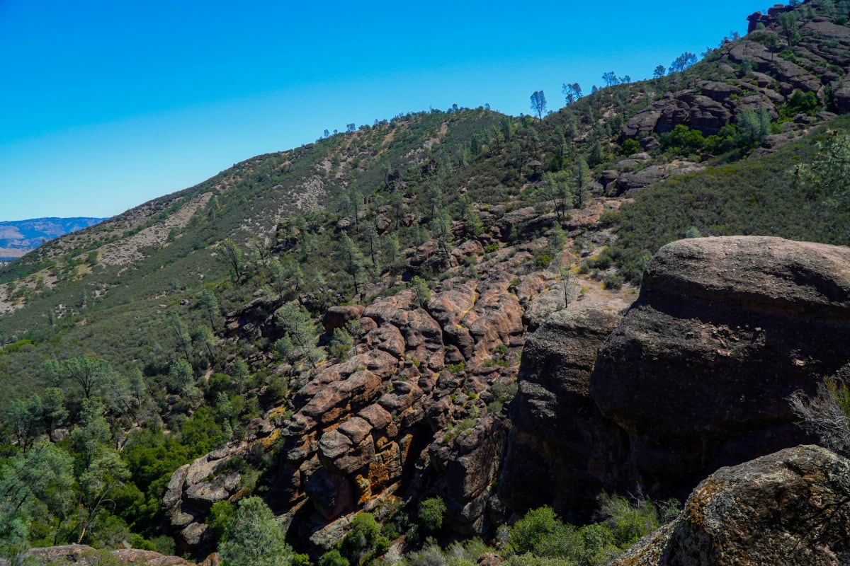 Scenic view of Pinnacles National Park showcasing rugged rock formations and lush greenery under a clear blue sky.