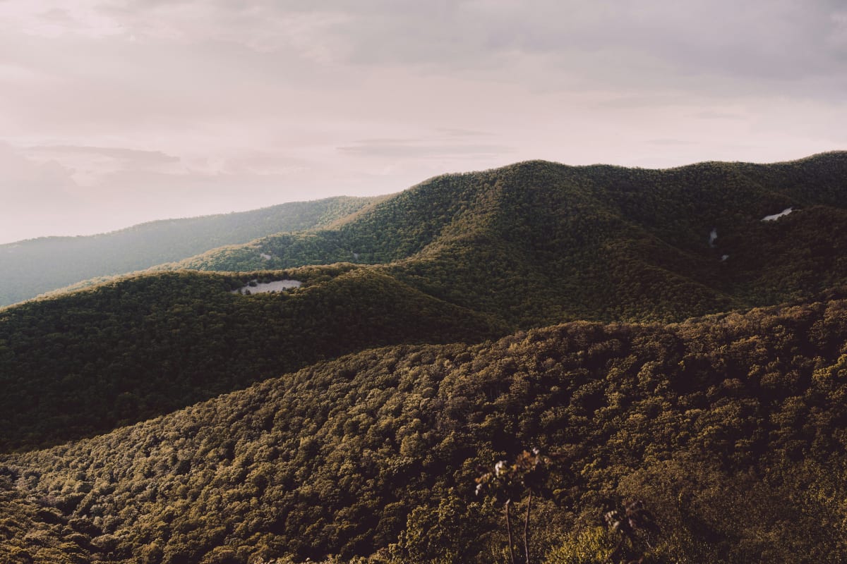 View of rolling hills in Shenandoah National Park at dusk with lush greenery and a cloudy sky.