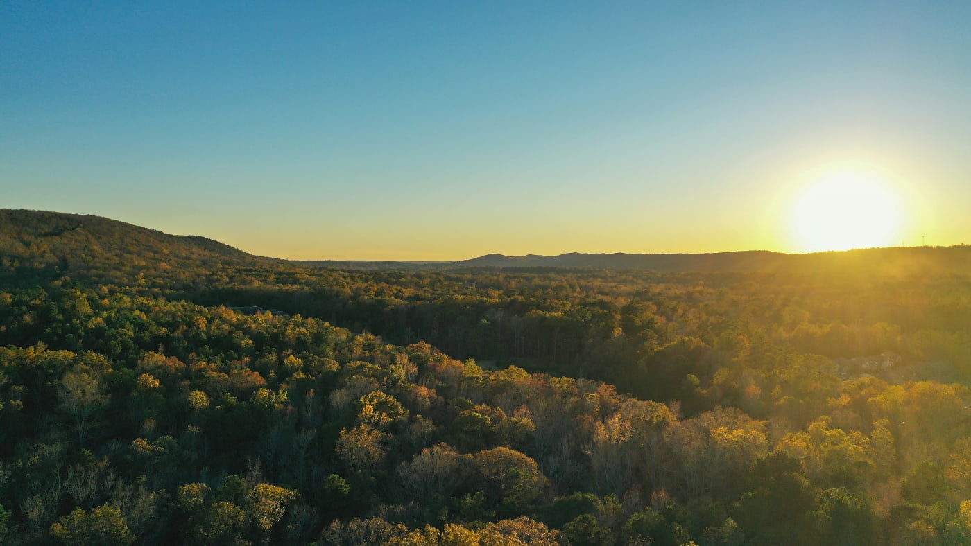 Sunset over the lush forests of Alabama, with warm sunlight casting over the treetops and hills.