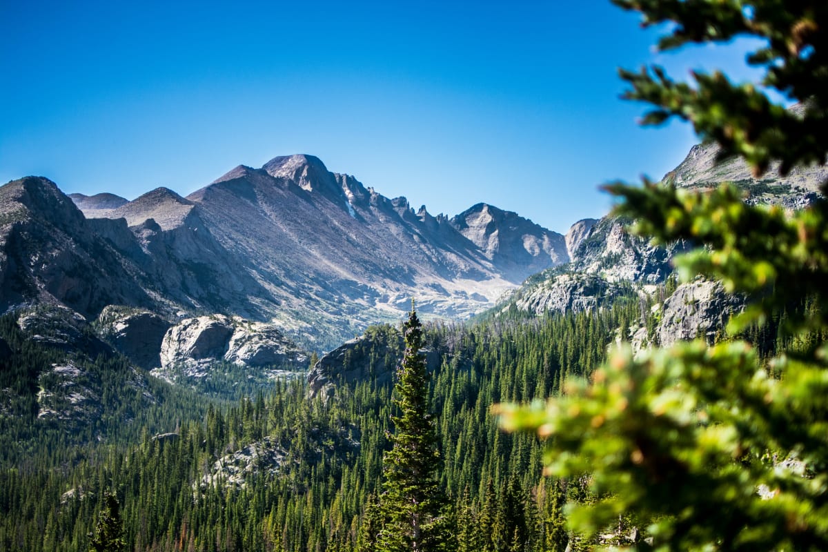 Breathtaking view of Colorado mountains with evergreen trees and blue skies, perfect for Polaris Adventures.