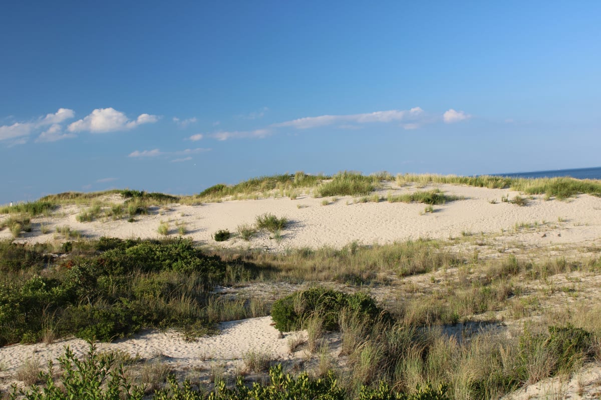 Scenic view of Delaware dunes with grassy patches under a blue sky with wispy clouds.