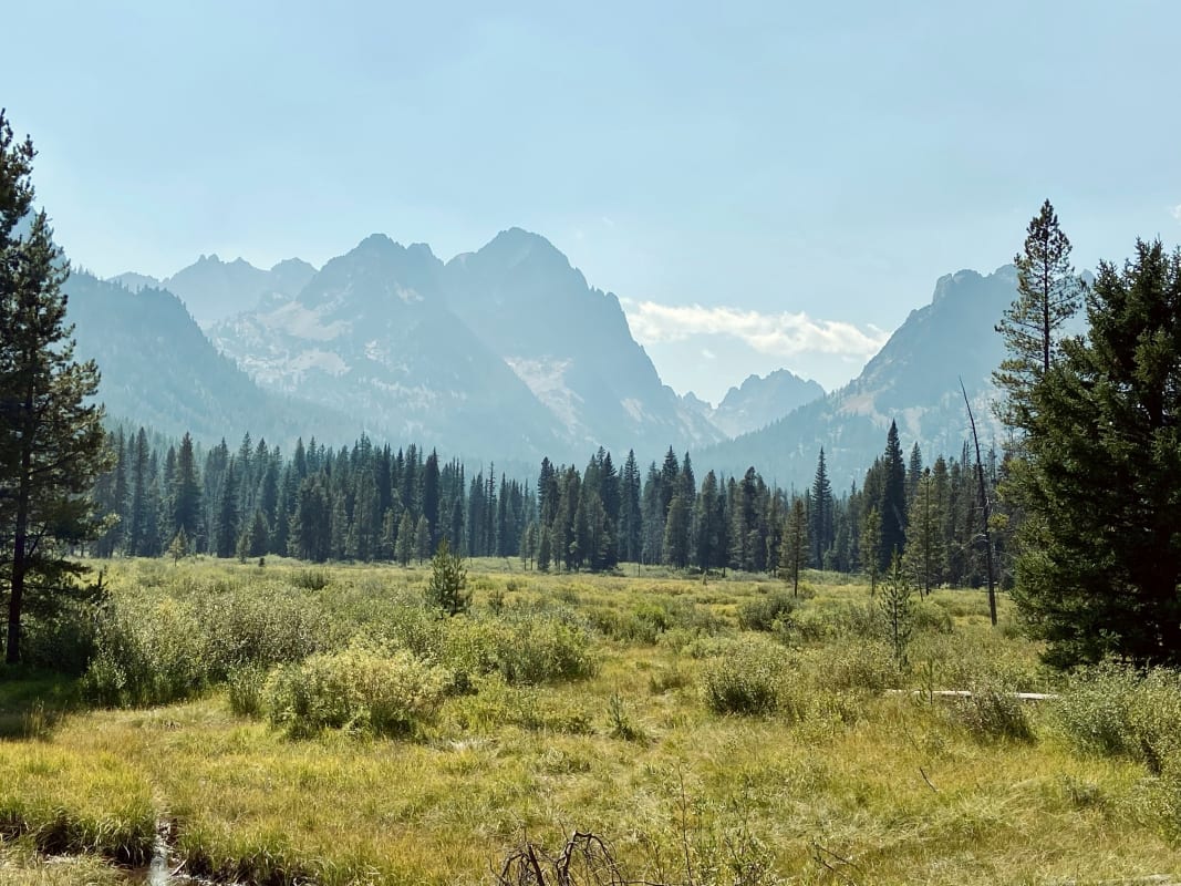 Scenic view of the Idaho wilderness with towering mountains in the background and lush greenery in the foreground.