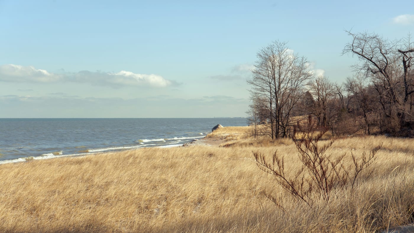 A serene Indiana lakeshore with golden grass, bare trees, and a view of the water under a clear sky.