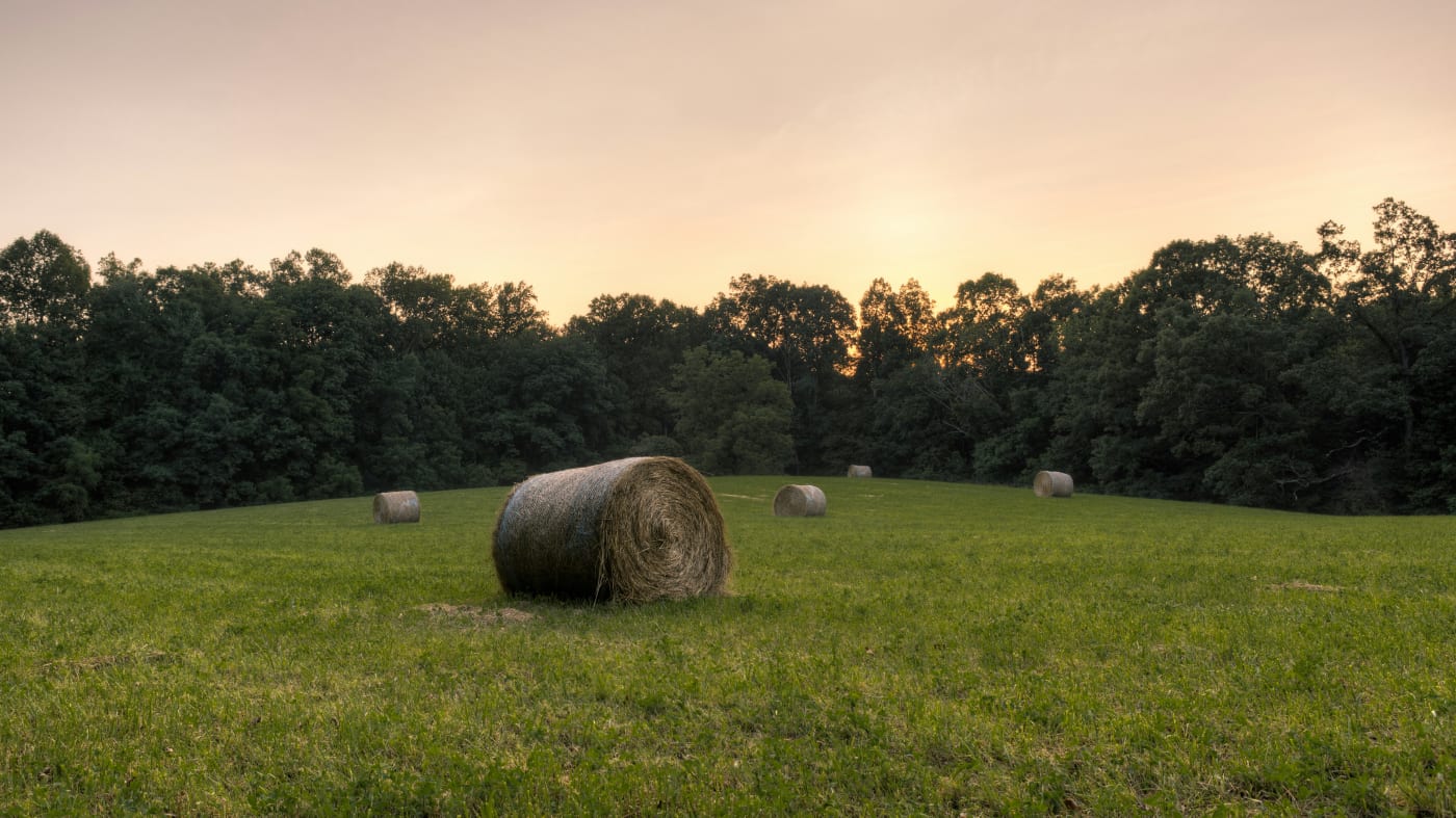 Sunset over a Kentucky field with scattered round hay bales and lush greenery