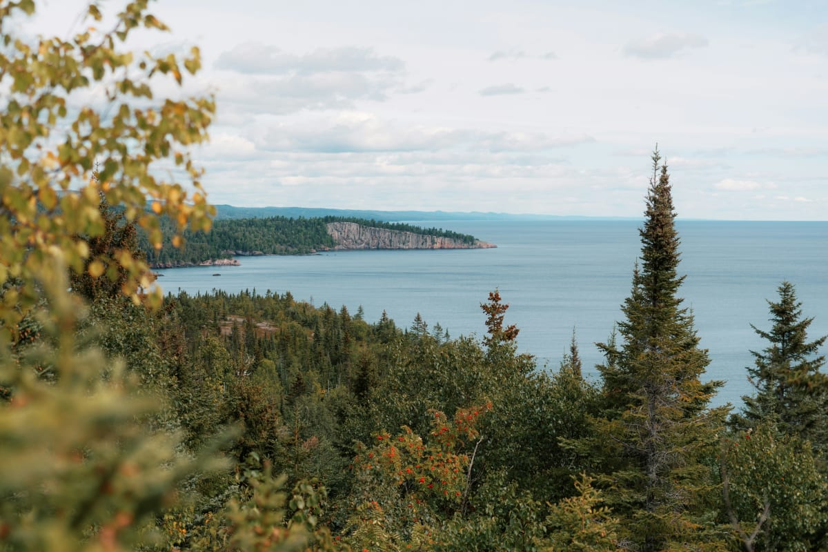 Scenic view of Minnesota's lush forests with Lake Superior in the background, hinting at outdoor adventures.