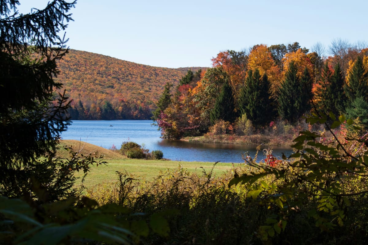 Scenic view of a lake surrounded by autumn-colored trees in Pennsylvania, perfect for outdoor adventures.